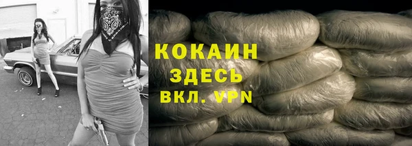 спиды Сясьстрой
