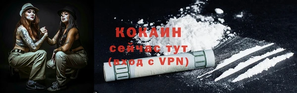 стафф Тавда