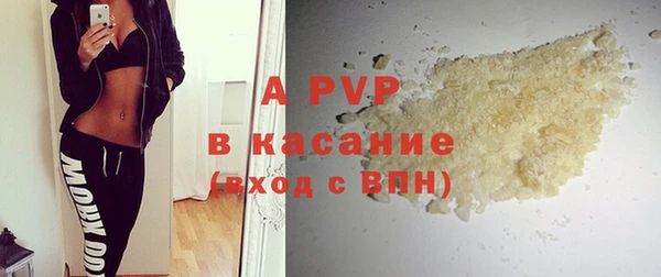 стафф Тавда