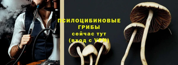 mdpv Козельск