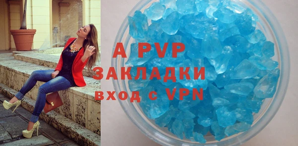 прущие крисы Тайга