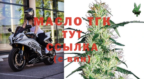 стафф Тавда