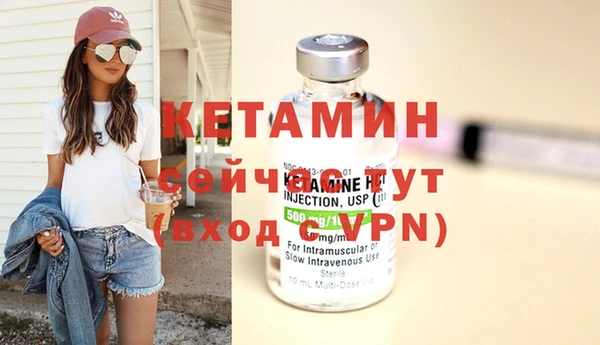 стафф Тавда