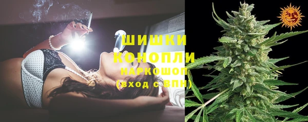 стафф Тавда
