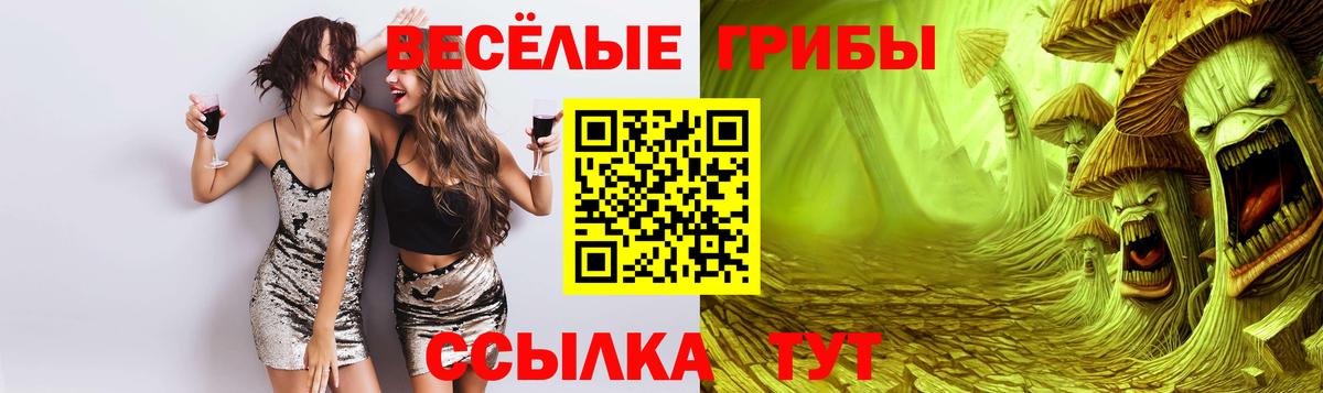 Псилоцибиновые грибы Psilocybe Абинск