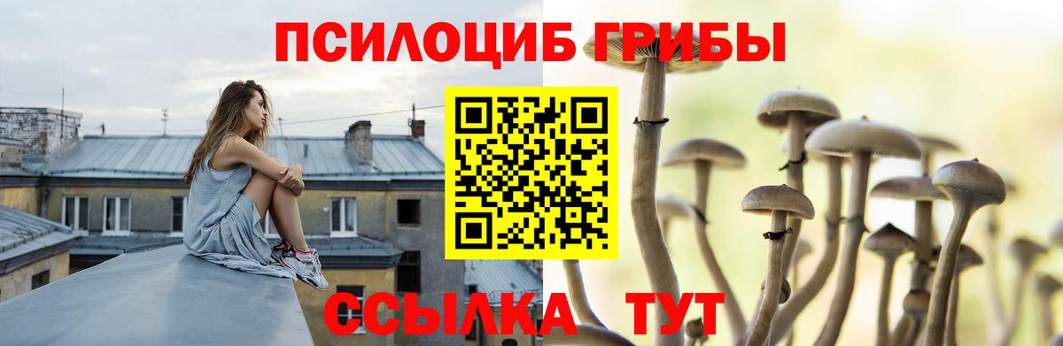 Псилоцибиновые грибы прущие грибы  как найти закладки  Вход с VPN  Абинск  Псилоцибиновые грибы MAGIC MUSHROOMS 